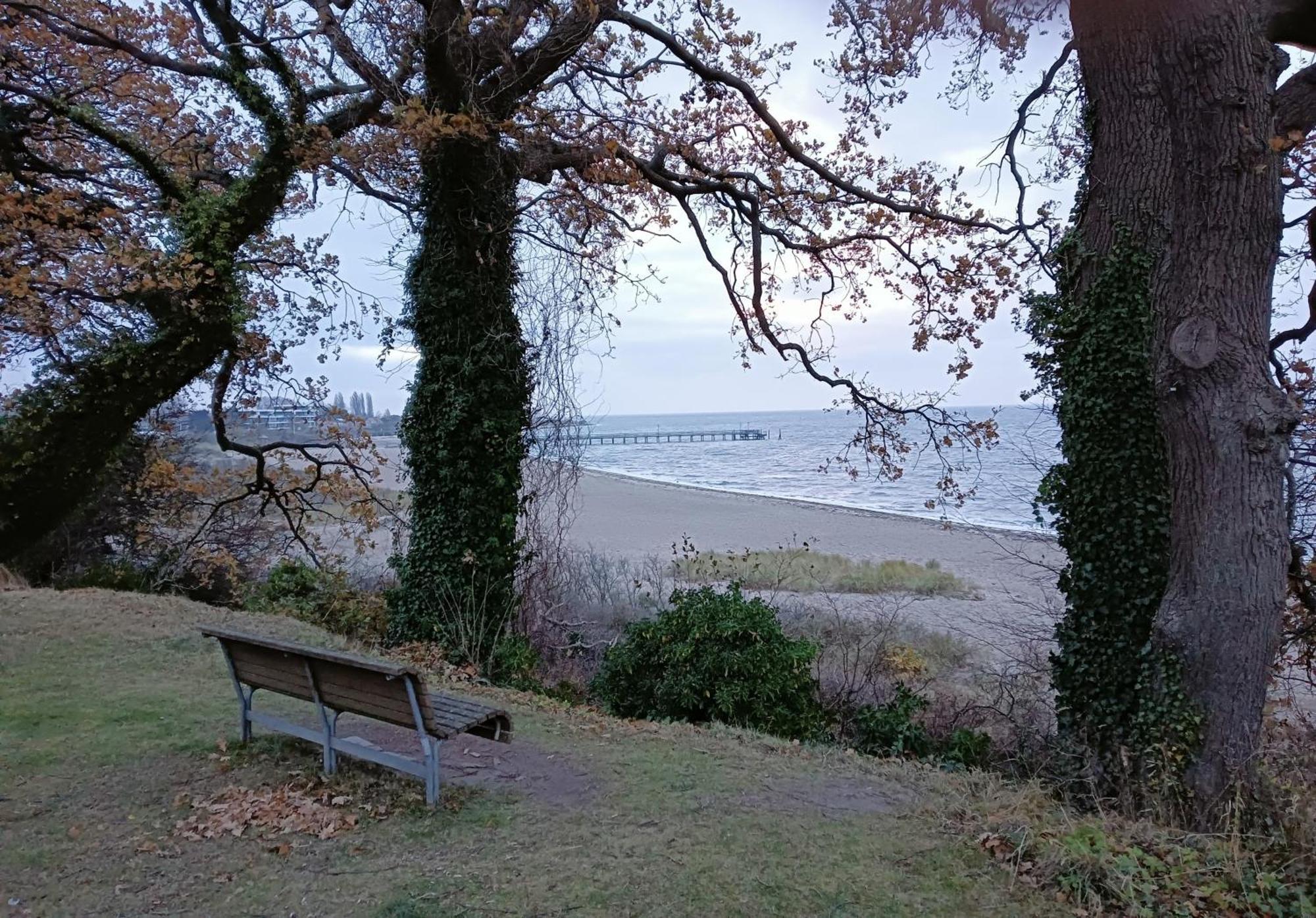 Fewo Muschelgetuschel Im Prinz Hamlet - Direkte Strandlage Pelzerhaken Esterno foto